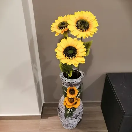 Apartment La Casa Dei Girasoli *