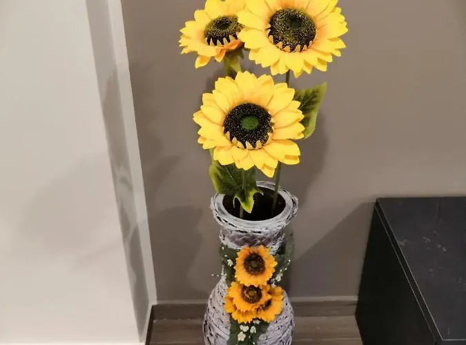 Διαμέρισμα La Casa Dei Girasoli *